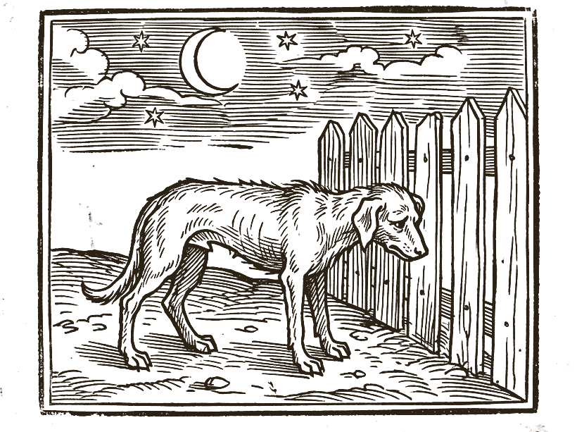 Grabado: un perro callado que no ladra, bajo la luna